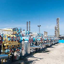 Witalex 26 Industry & Economy