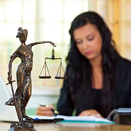 Witalex 1 Law & Justice