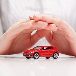 Witalex 45 Insurances